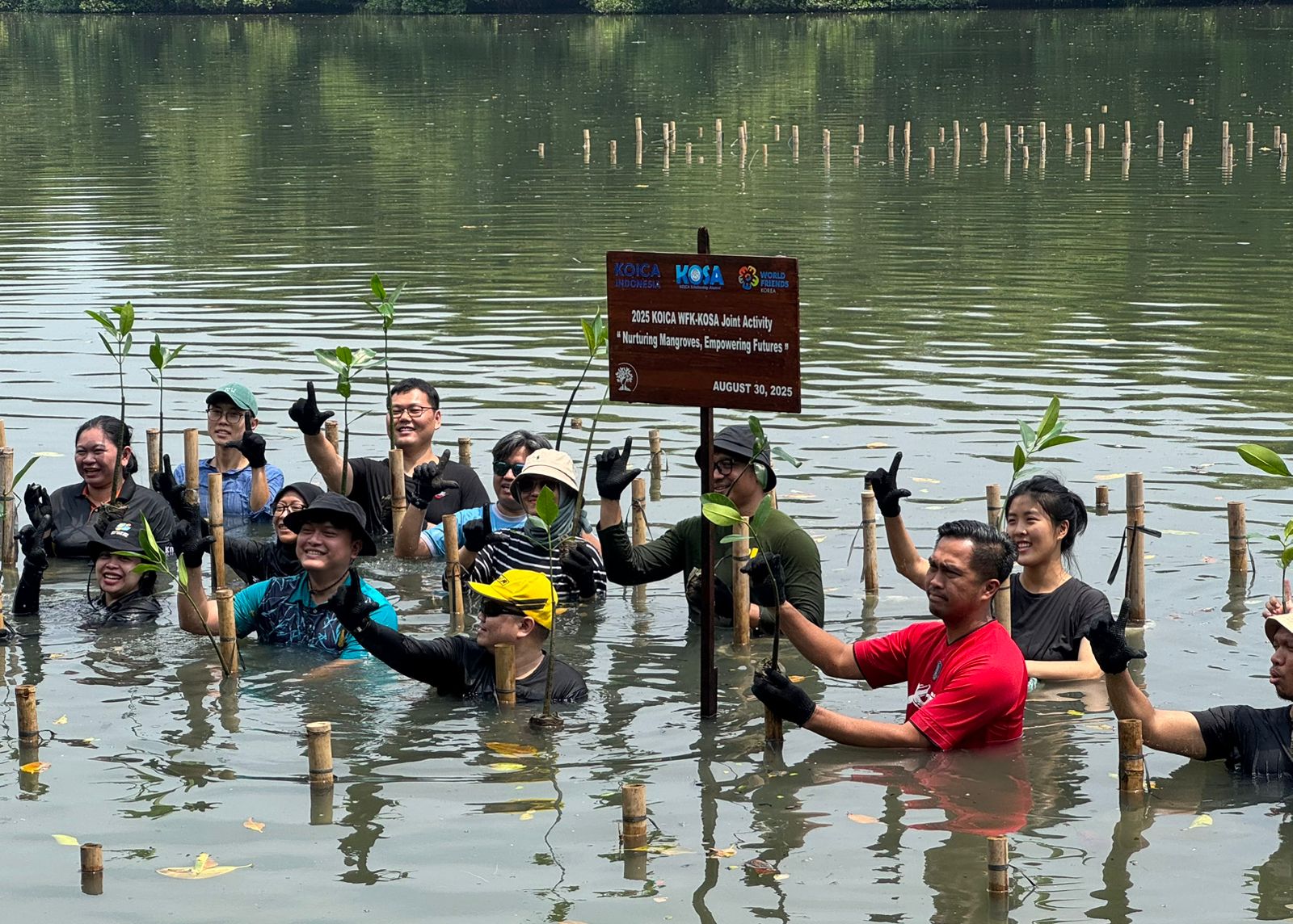 Jaga Kawasan Pesisir, KOSA Tanam 10.000 Mangrove